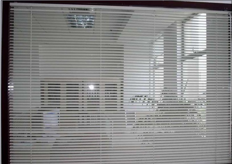 2009年10月，沈陽特變電工有限公司新辦公樓橫百葉工程