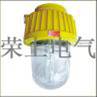 BPC8731/ON，防爆無極燈