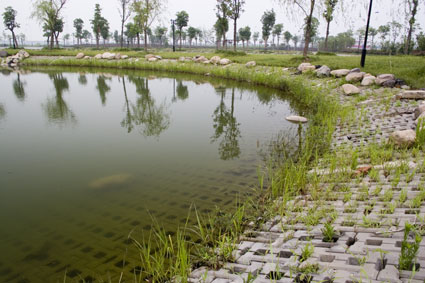 聯(lián)鎖式生態(tài)護(hù)坡