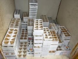 硬質合金機夾刀片4160511