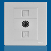美銳達(dá)雙電腦電視插