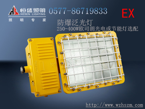 CTD5130防爆泛光燈