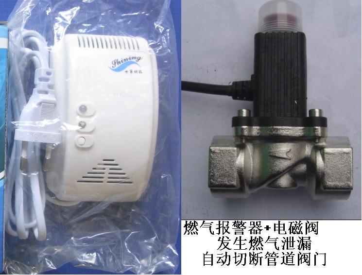 供應(yīng)家用一氧化碳探測(cè)器，廠家直銷(xiāo)煤氣報(bào)警器