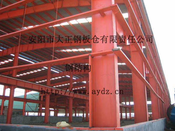 大正索膜結(jié)構(gòu)世界dy