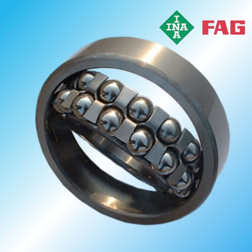 正定FAG軸承經(jīng)銷商|正定FAG總代理|德國FAG授權(quán)經(jīng)銷商