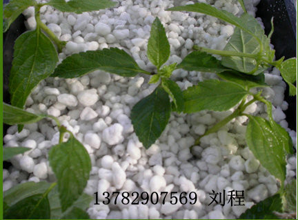 園藝膨脹珍珠巖