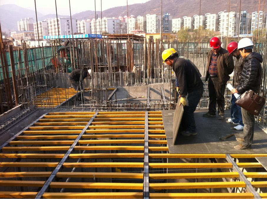 供應(yīng)2013年z暢銷的新型建筑模板支撐
