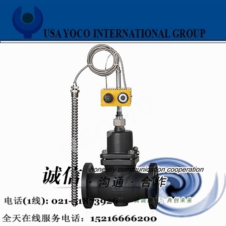 進口自力式溫度調(diào)節(jié)閥