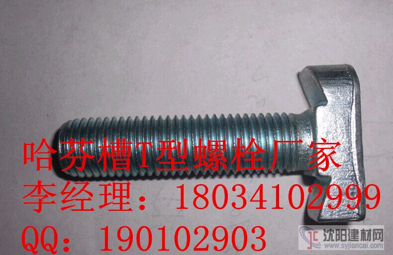 哈芬槽螺栓，螺母，玻璃幕墻專(zhuān)用T型螺栓