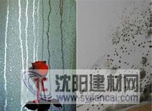 又見回南天，如何撐起家居“防潮傘”