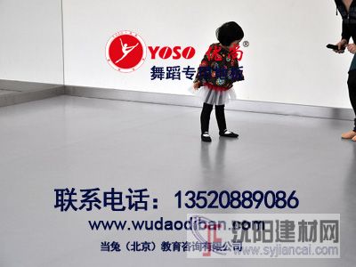 供應防滑，耐磨舞蹈地膠