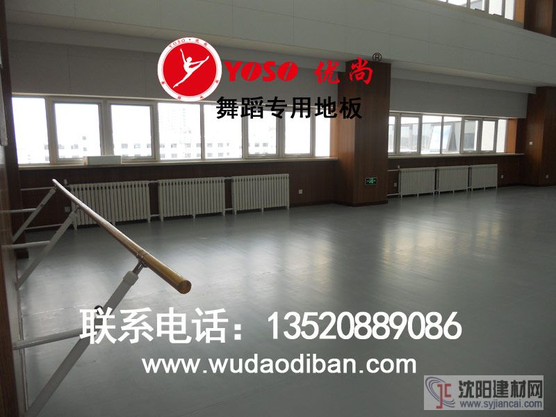 落地固定式舞蹈把桿，一級(jí)加厚鑄鐵的舞蹈把桿，穩(wěn)固安