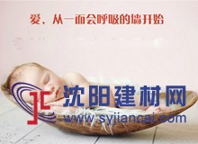 愛情，從一面會呼吸的墻開始守護