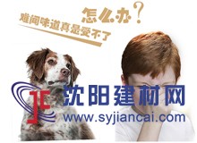 寵物異味怎么破？硅藻泥為您趕走“它”