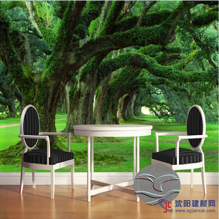 3D立體震撼視覺(jué)電視背景墻無(wú)縫壁畫定制