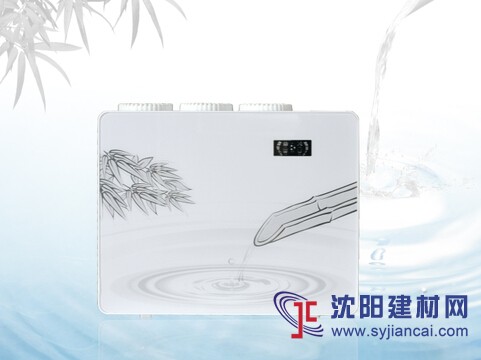 RO反滲透蘋果6代純水機直飲家用廚房過濾器