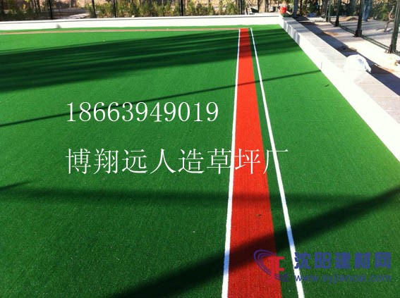 進(jìn)口尼龍門球場(chǎng)人造草坪