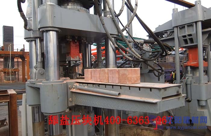 沈陽(yáng)牛羊舔鹽壓塊機(jī)L礦物質(zhì)營(yíng)養(yǎng)鹽設(shè)備