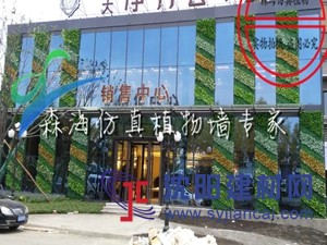 高端仿真植物墻草坪假綠植墻室內背景草皮墻面垂直綠化