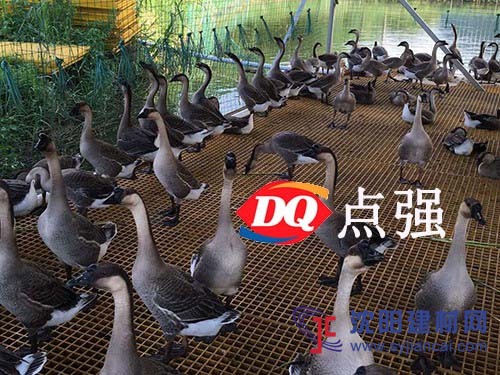 養(yǎng)殖專用玻璃鋼格柵@長春養(yǎng)殖專用玻璃鋼格柵生產廠家