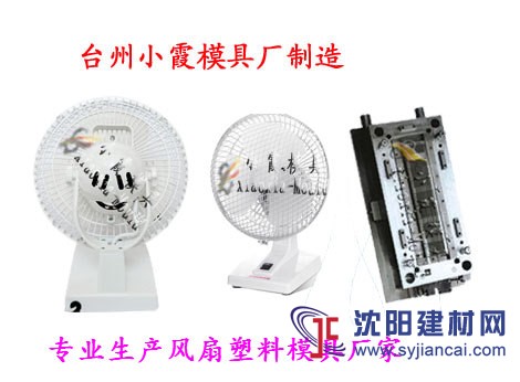 塑料模具 臺扇塑料殼模具 學(xué)生扇塑料殼模具