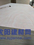 家具板供應(yīng)工廠 多層家具板 楊木家具板