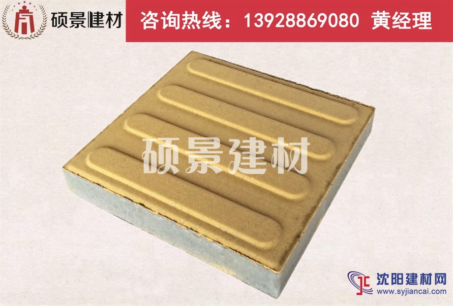 廣州碩景光面西班牙磚、背心磚、導(dǎo)盲磚