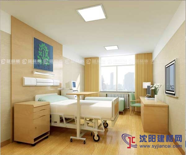 【廣東】醫(yī)用室內(nèi)裝飾樹(shù)脂板，廣州藍(lán)品盾廠家直銷