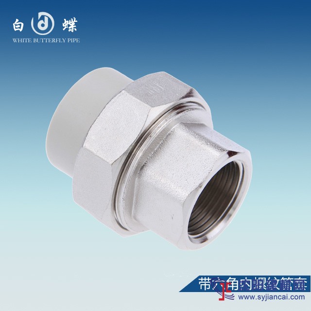 中國水管10大品牌排名 水管價(jià)格白蝶PPR貴嗎？
