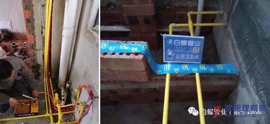 較具影響力的中國ppr管道十大品牌排名榜單有？