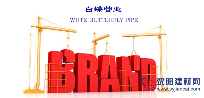 中國(guó)一線塑料ppr管道管材十大品牌行業(yè)排名