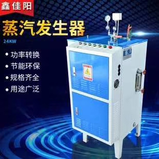 歐洲帝思邁全自動(dòng)智能多燃料蒸汽發(fā)生器