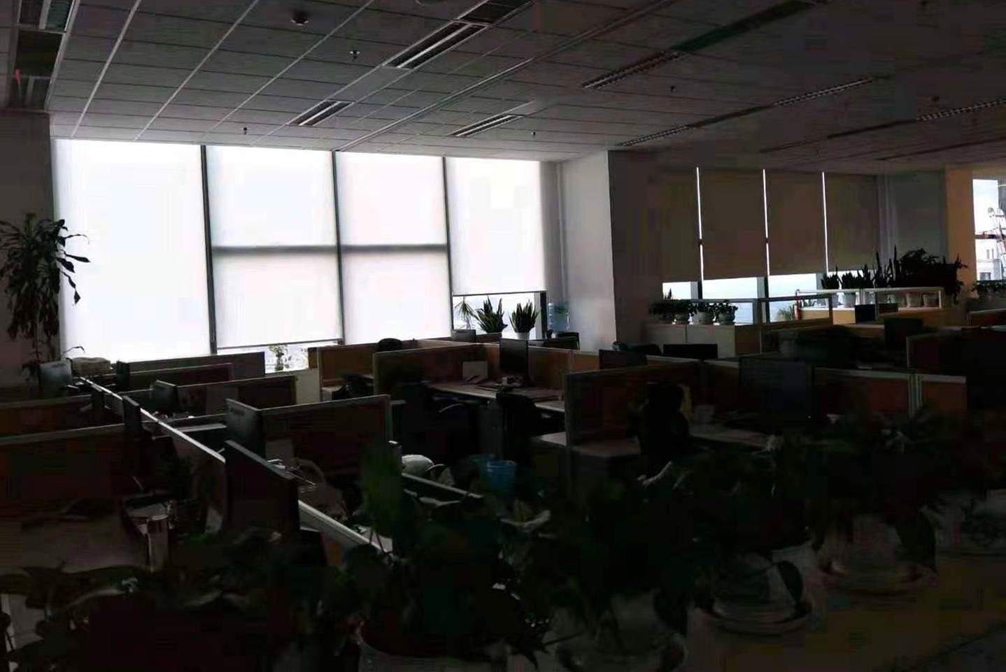 沈陽印字辦公窗簾廠家