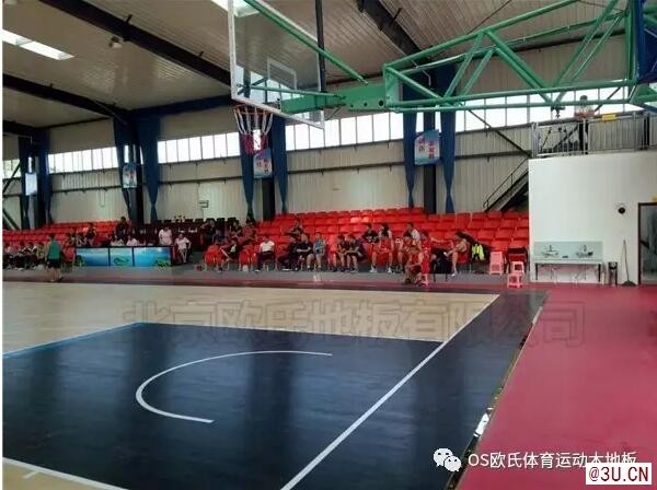 os歐氏乒乓球地板 乒乓球場館地板膠